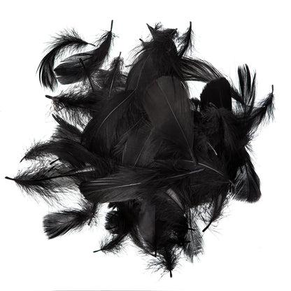 DpCraft Feathers - 5-12 cm 10 g black